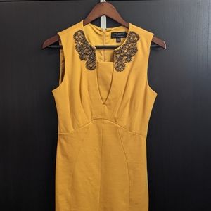 Ted Baker Edella embellished collar dress | Size 6